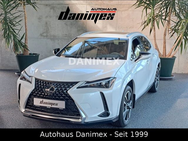 Lexus UX 250h AWD Luxury Executive Schiebedach Kamera