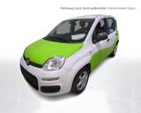 Fiat Panda 1.2 8V Easy SHZ,Winterp.,PDC - Fiat Panda Gebrauchtwagen
