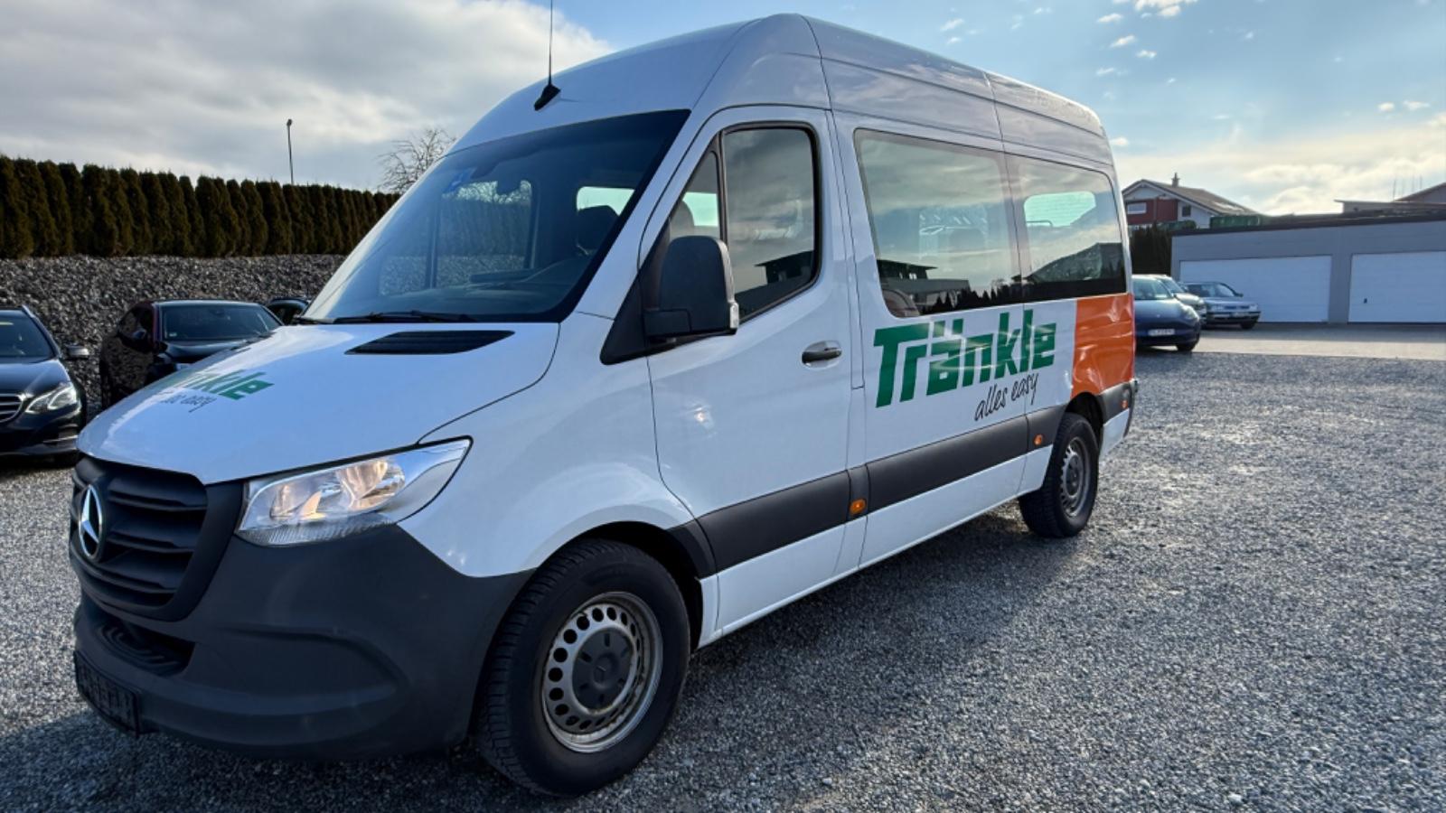 Mercedes-Benz Sprinter III 316 CDI 9-Sitzer Kamera 3,5t AHK