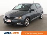 Skoda Fabia 1.2 TSI Joy*PDC*NAVI*SHZ*TEMPO*KLIMA* - Skoda Fabia Gebrauchtwagen in Stuttgart