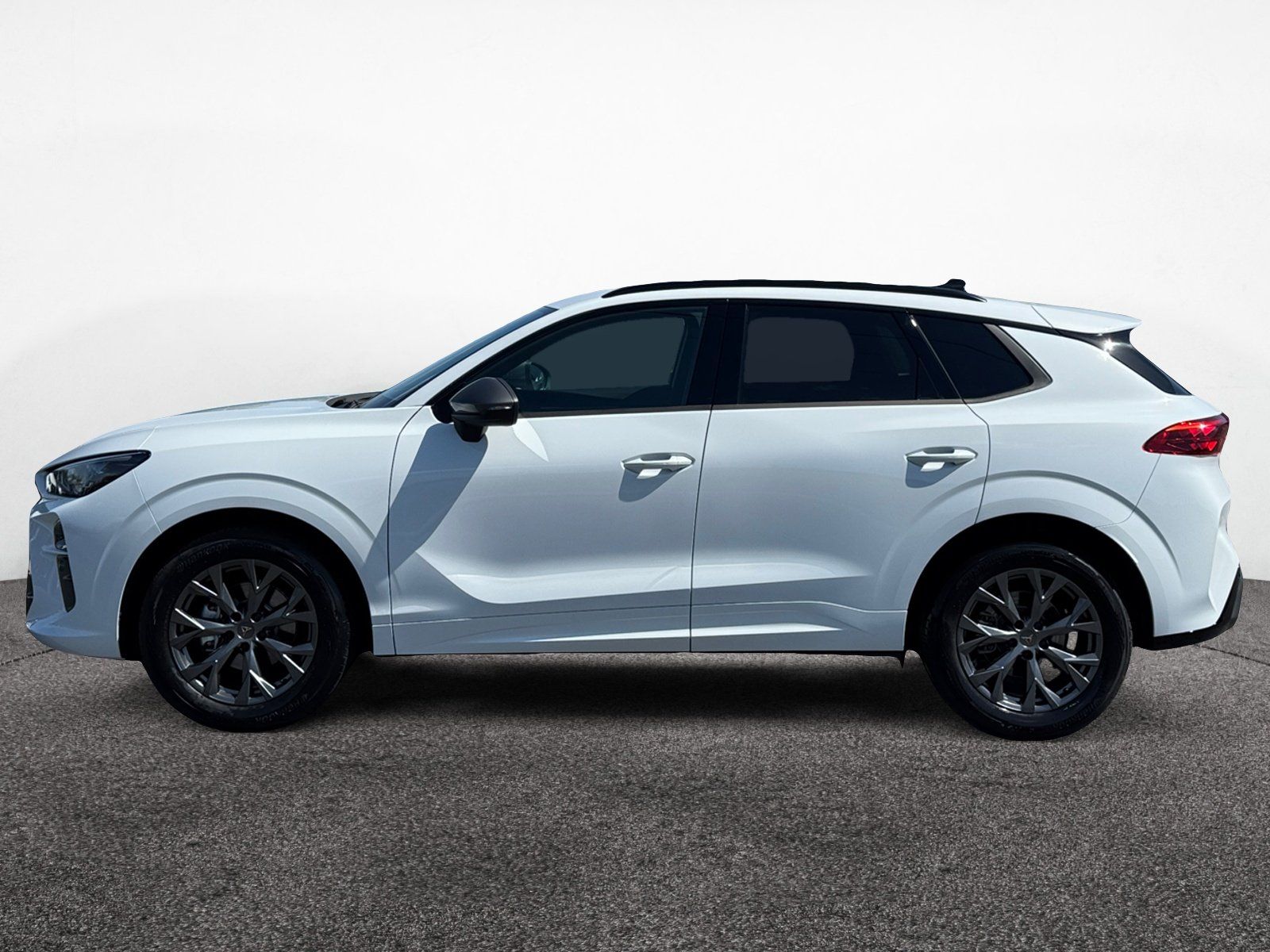 Cupra Terramar - Bild 4