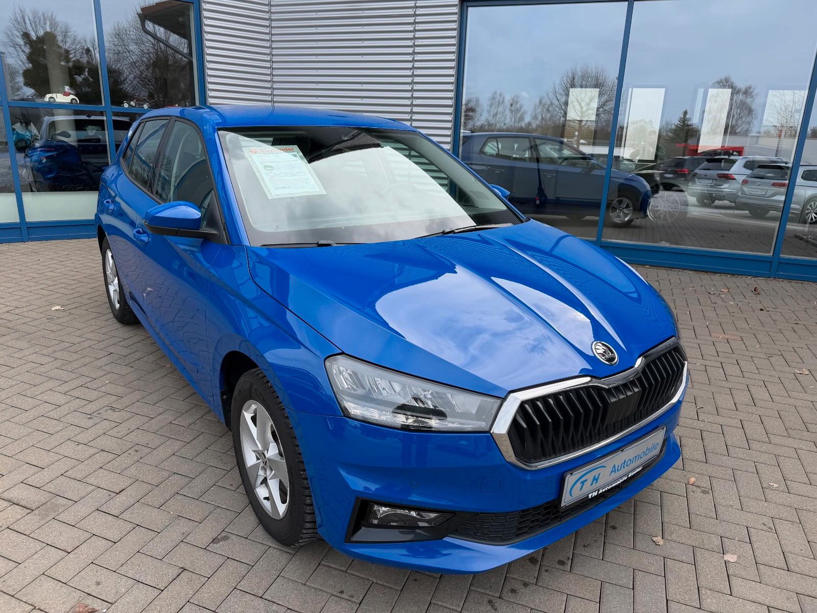 Skoda Fabia Ambition/Kamera/SHZ/1.Hand/ACC