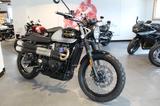 Triumph Scrambler 900 *ICON EDITIOM*