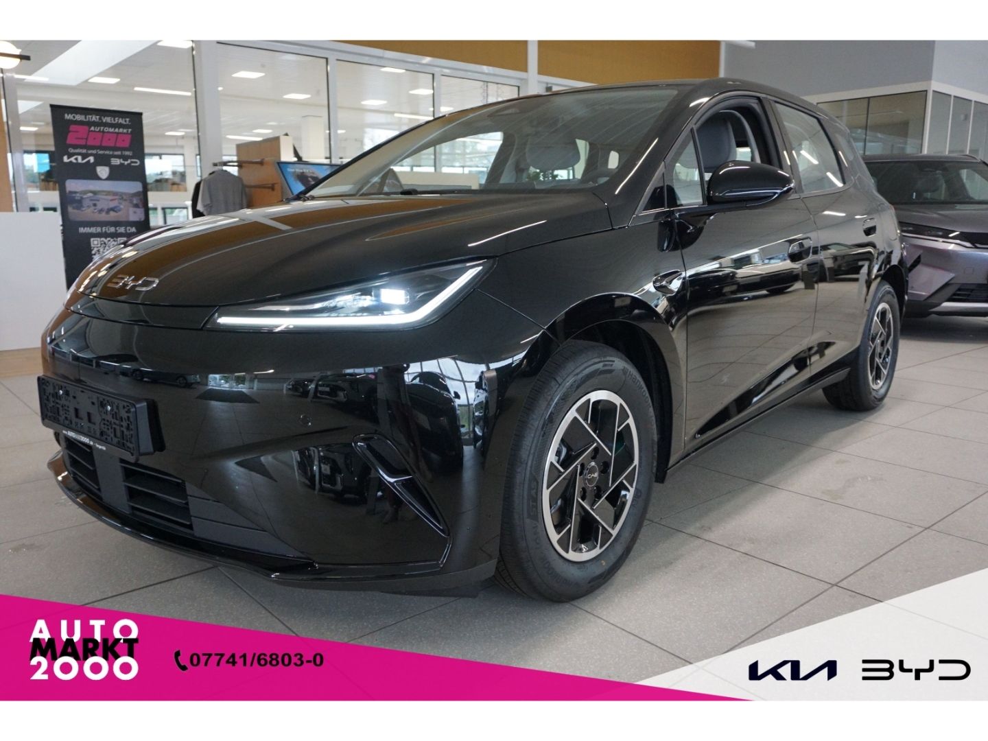 BYD DOLPHIN