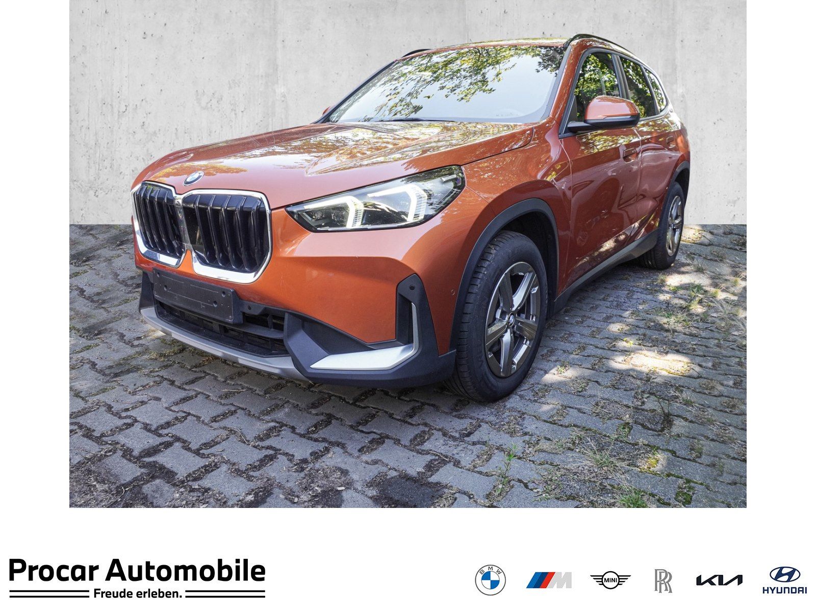 BMW X1 sDrive18d AHK RFK NAVI LED Sound Syst. DAB foto 1