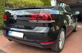 Volkswagen Golf 1.4 TSI Cup Cabrio TÜV/Service NEU - : Cabrio, Service