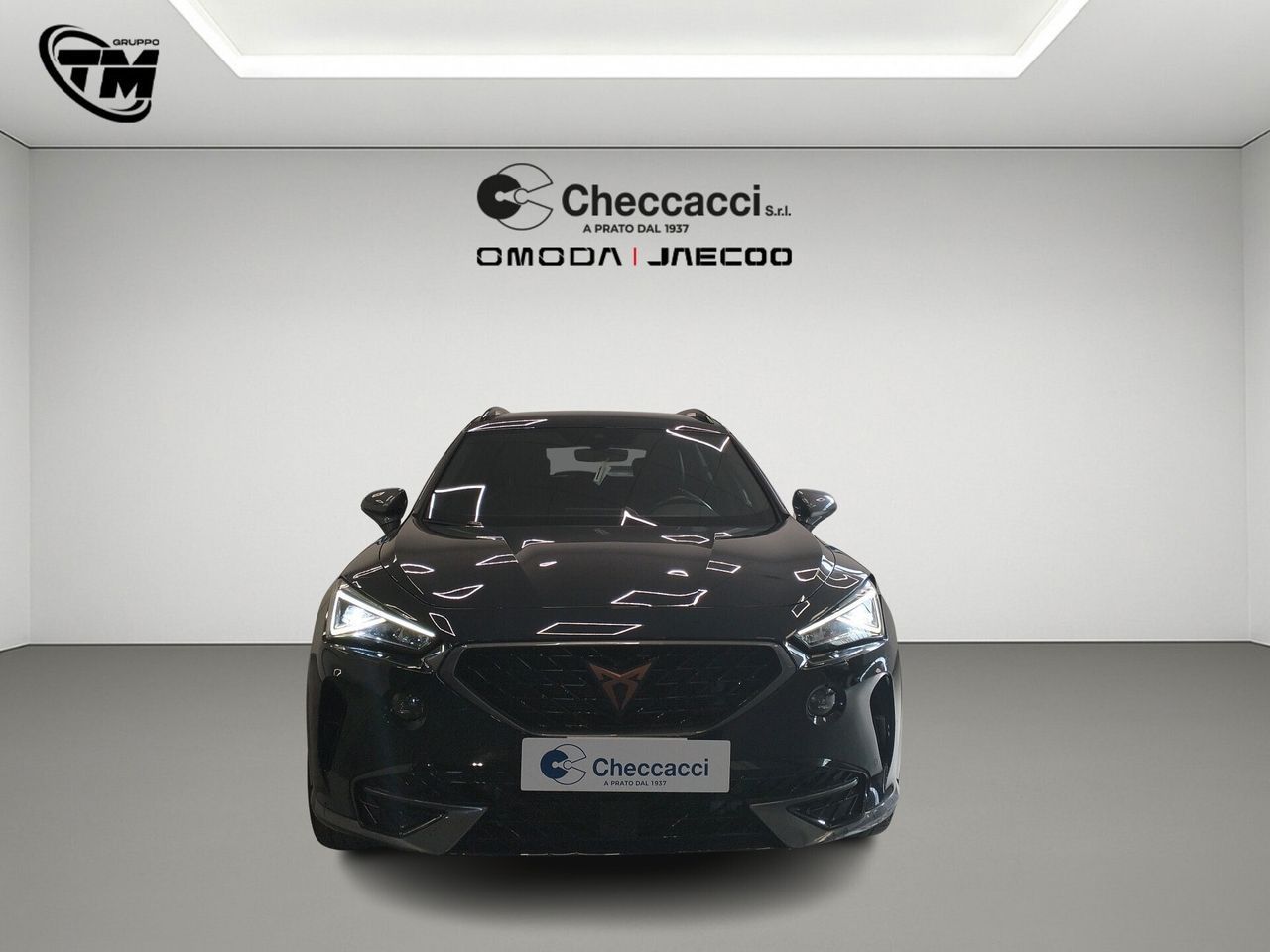 Cupra Formentor 2.0 TDI imagem 3