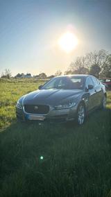 Jaguar XE JA 2.0 l - Jaguar XE in Essen