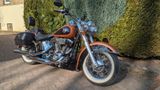 Harley-Davidson Softail Deluxe FLSTN 105 Jahre Jubiläum -Selten- - HARLEY-DAVIDSON FLSTN SOFTAIL DELUXE