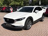 Mazda CX-30 2.0 M Hybrid Takumi SUNR BLOP *Leder*GSD*B - Mazda CX-30 in Wuppertal