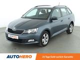 Skoda Fabia 1.0 TSI Ambition*PDC*SHZ*KLIMA*LIMITER* - Skoda Fabia Gebrauchtwagen in Nürnberg