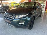 Land Rover Range Rover Evoque Pure Panorama-Dach - Land Rover Range Rover Evoque mit Diesel-Antrieb: Panorama Dach