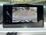 Seat Ibiza FR DSG Navi Kamera CarPlay Panorama - Seat Ibiza