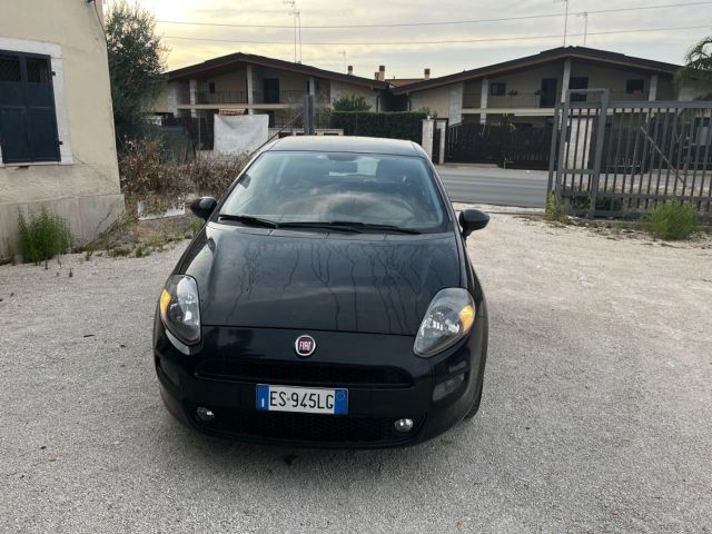 Fiat Punto 1.2 8V 5 porte Street adatta per neop