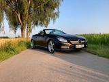Mercedes-Benz SLK 350/AMG/R172/ CABRIO/ TOP!!! - Mercedes-Benz SLK-Klasse R172