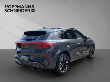 Cupra Terramar - 6
