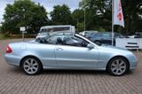 Mercedes-Benz CLK 500 V8 Cabrio Aut Leder Navi Memory SHZ H/K - Mercedes-Benz CLK 500 aus 2004