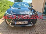 Lexus UX 250h Style Edition Style Edition - Lexus UX Gebrauchtwagen