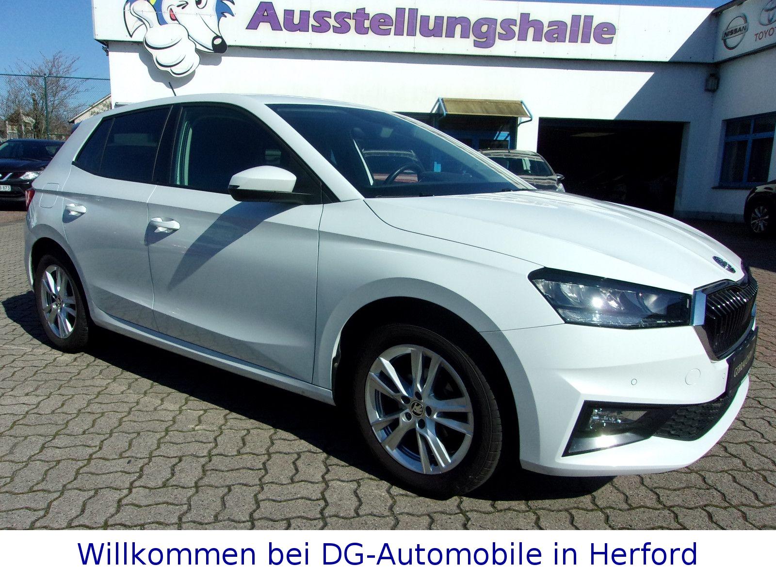 Skoda Fabia Ambition,Navi,Carplay,Klimaautom.LED,Pdc