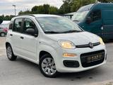 Fiat Panda My Panda Tüv/Service/Neu Klima - Fiat Panda Gebrauchtwagen in Berlin
