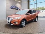 Ford Kuga Titanium 1,5 176PS 4x4 Aut. 8*Alu/Navi/Wint - Ford Kuga: Titanium