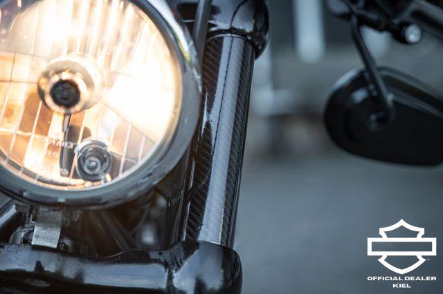 Fahrzeugabbildung Harley-Davidson XL1200X SPORTSTER FORTY-EIGHT - LED - GOLD FLAKE