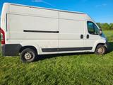 Fiat Ducato 250 L Camping  CCMFC BX LKW geschl. Kaste - Fiat Ducato: 250l