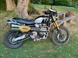 Triumph Scrambler 1200 XE Showcase Sondermodell - TRIUMPH SCRAMBLER