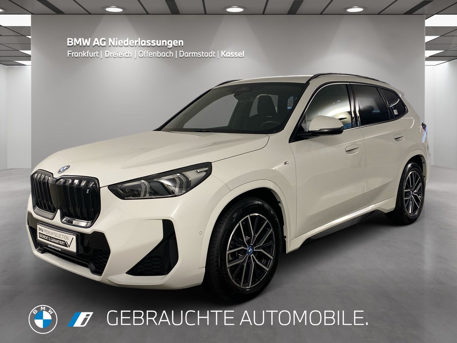 BMW iX1 xDrive30 M Sport Kamera Driv.Assist LED