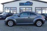 Volkswagen Beetle 1.2 TSI Design DSG KLIMAAUT SITZH PDC 16' - Volkswagen Beetle in Hamburg