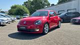 Volkswagen Beetle 1.2 TSI Design / NAVI / LED / ALU / - Volkswagen Beetle: Rot