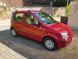 Fiat Panda rot 1.2  8-fach bereift - Fiat Panda in Freiburg