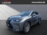 Lexus NX 300h Executive Line*5 J. Garantie*NAVI*KAMERA - gebrauchte Lexus SUV & Geländewagen