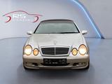 Mercedes-Benz CLK 200 KOMPRESSOR ELEGANCE - Mercedes-Benz CLK 200: Elegance