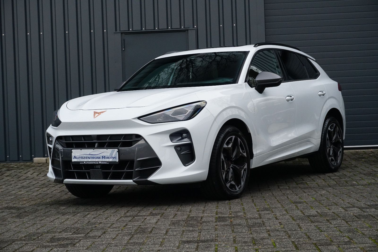 Cupra Terramar - Bild 3