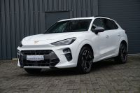 Cupra Terramar - Vorschau Bild 3