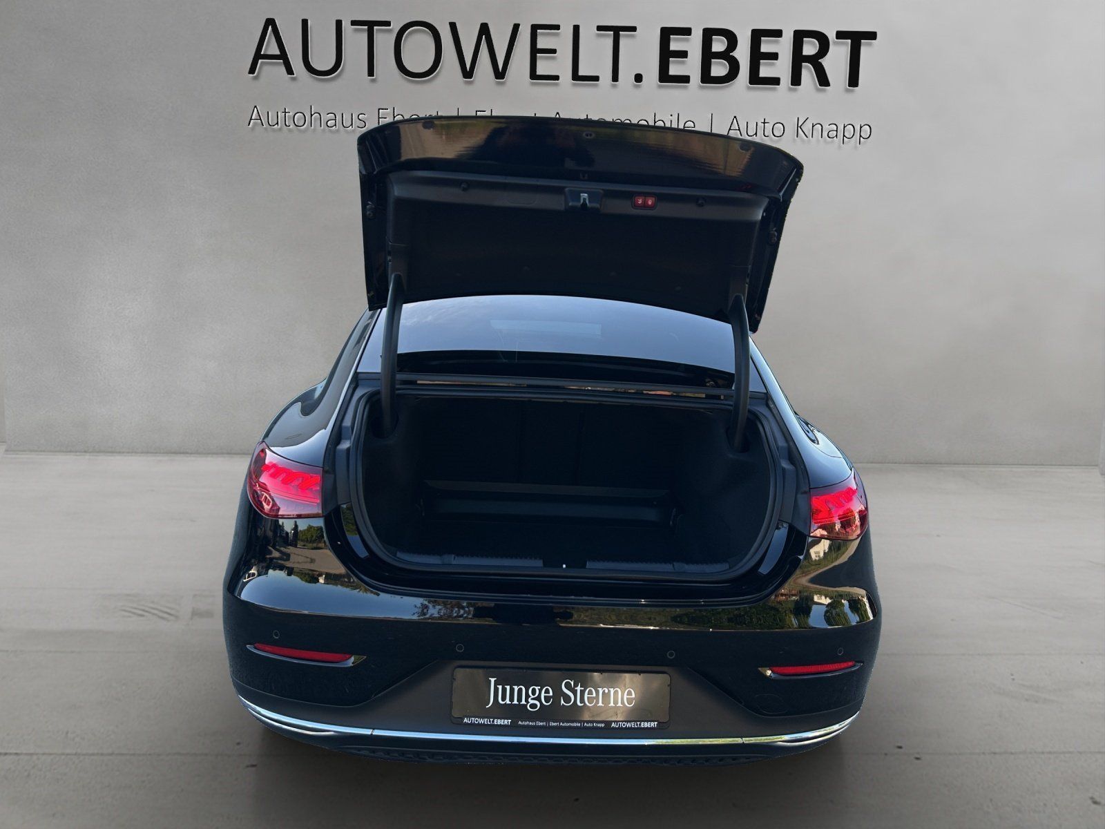Fahrzeugabbildung Mercedes-Benz EQE 300 Advanc+ DISTRO Memo AIRMATIC Burme KeyGo