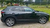 Mazda CX-30 SKYACTIV-G M-Hybrid 150 Selection+DES-P - Mazda CX-30: Von Privat