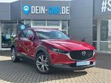 Mazda CX-30 Selection 2WD*MATRIXLED*NAVI*360°* - Mazda Gebrauchtwagen von 2020