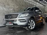 Mercedes-Benz ML 250 ML ML 250 CDI BlueTec