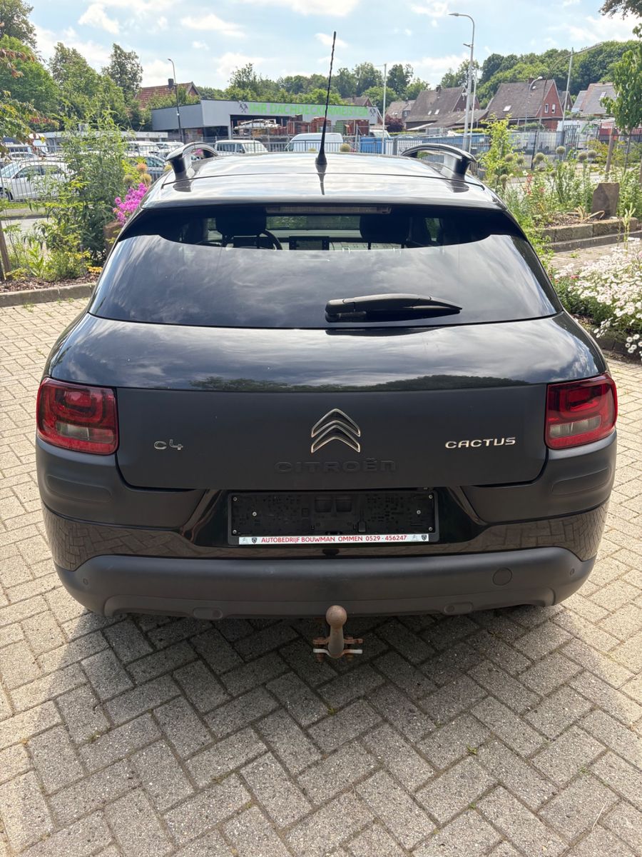 Photo 12 of CITROEN C4 Cactus