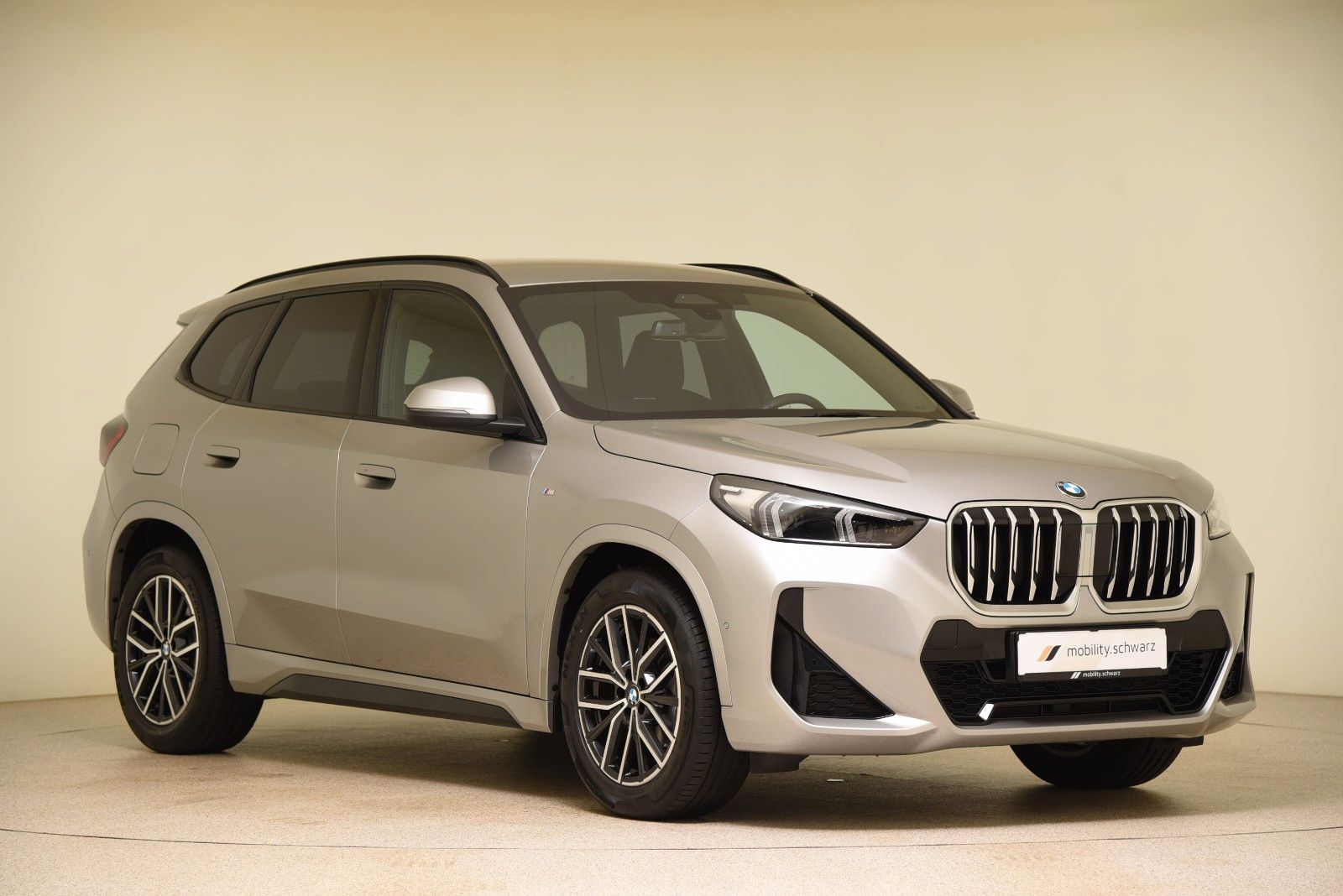 BMW X1 xDrive20d M Sport DriveAss LED AHK Alarm DAB foto 4