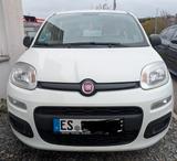 Fiat Panda 1.2 8v Pop Kupplung Neu Klima  - Fiat Panda Gebrauchtwagen in Stuttgart