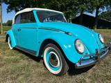 Volkswagen Käfer Cabrio 1962 +7 Käfer Cabrio s zu verkaufen - Oldtimer: Verkauf