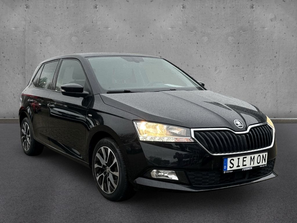 Fahrzeugabbildung SKODA Fabia Drive 125 1.0 MPI Smartlink SHZ Klima