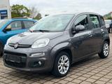 Fiat Panda Lounge - gebrauchte Fiat Panda aus dem Jahr 2017