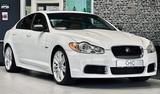 Jaguar XF 5.0 V8 Kompressor XFR - Jaguar XF mit Benzin-Antrieb: Limousine, 5.0