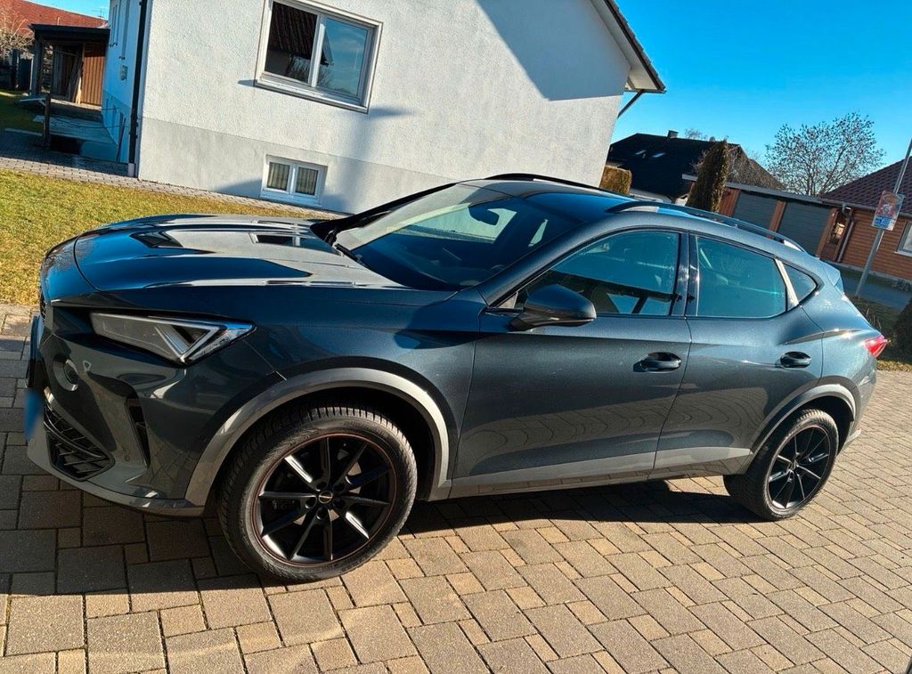 Image of Other Other