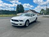 Ford Mustang V6 4.0 L - gebrauchte Ford Mustang aus dem Jahr 2010