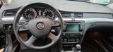 Skoda Superb 2.0 TDI Green tec 4x4 Ambition Combi ... - Skoda Superb Ambition mit Diesel-Antrieb